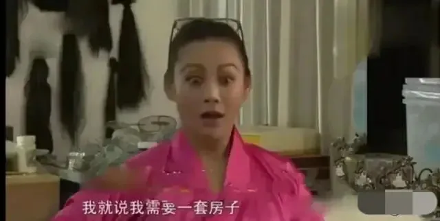 宁静和保罗的婚姻状况(1997年，宁静与美国演员保罗结婚,婆婆对她说我们家有五千亩)