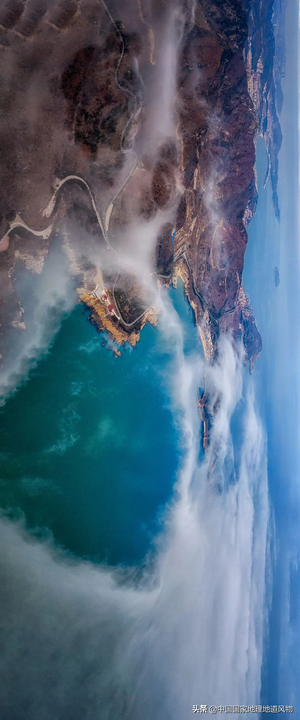 中国第一海鲜大省的这座城，让国人实现顶级生蚝自由