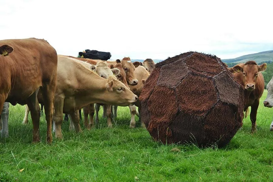 颜值与实力并存的BCU,其艺术与设计学院的研究生毕设可不能错过