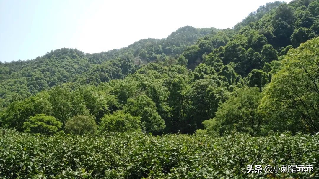 「我说我的」恨铁不成钢