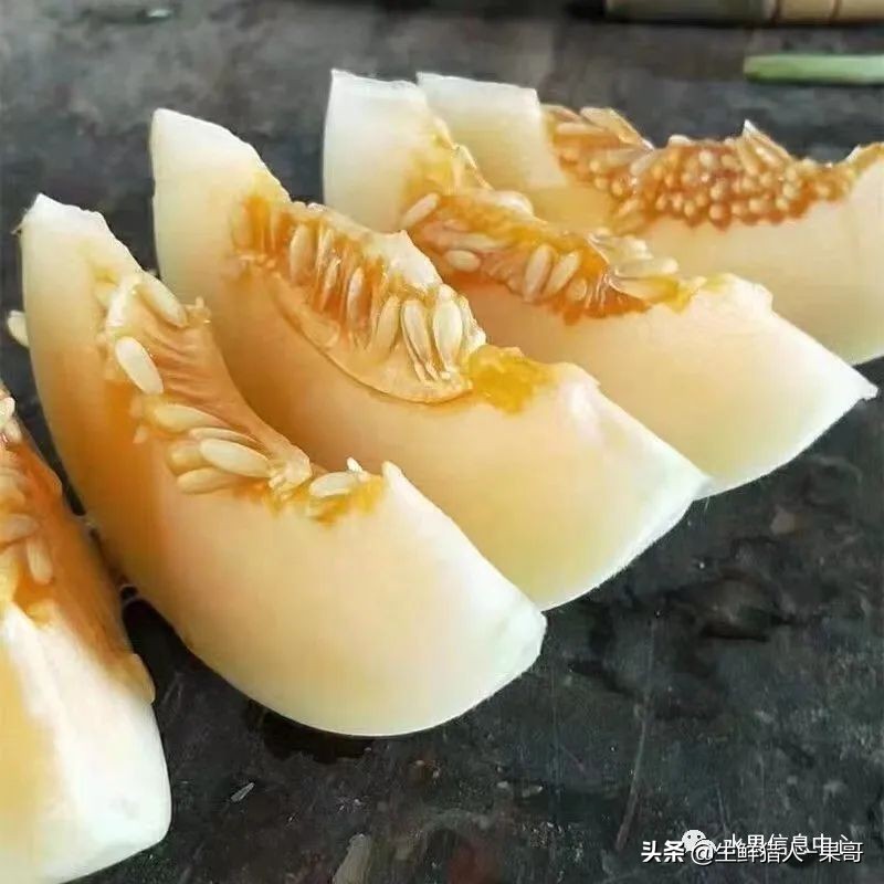 哈密瓜、蜜瓜、网纹瓜、香瓜、羊角蜜傻傻分不清？看完就明白了