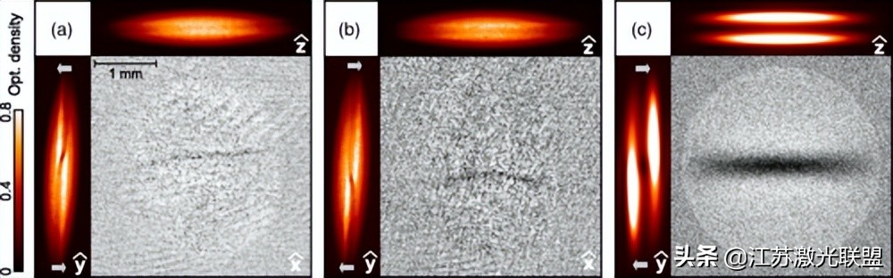 光的本征涡旋-反涡旋相互作用