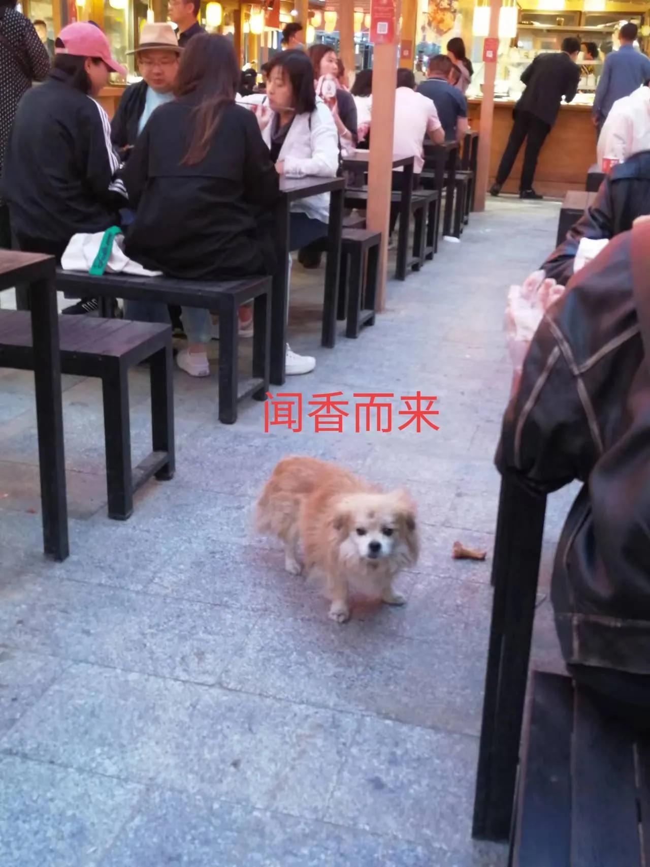 敦煌—沙州食驿