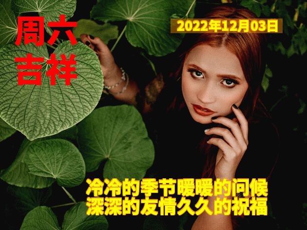 12月3日周六早安 清晨早上好表情包祝福语 祝你幸福永远、笑容灿烂图片