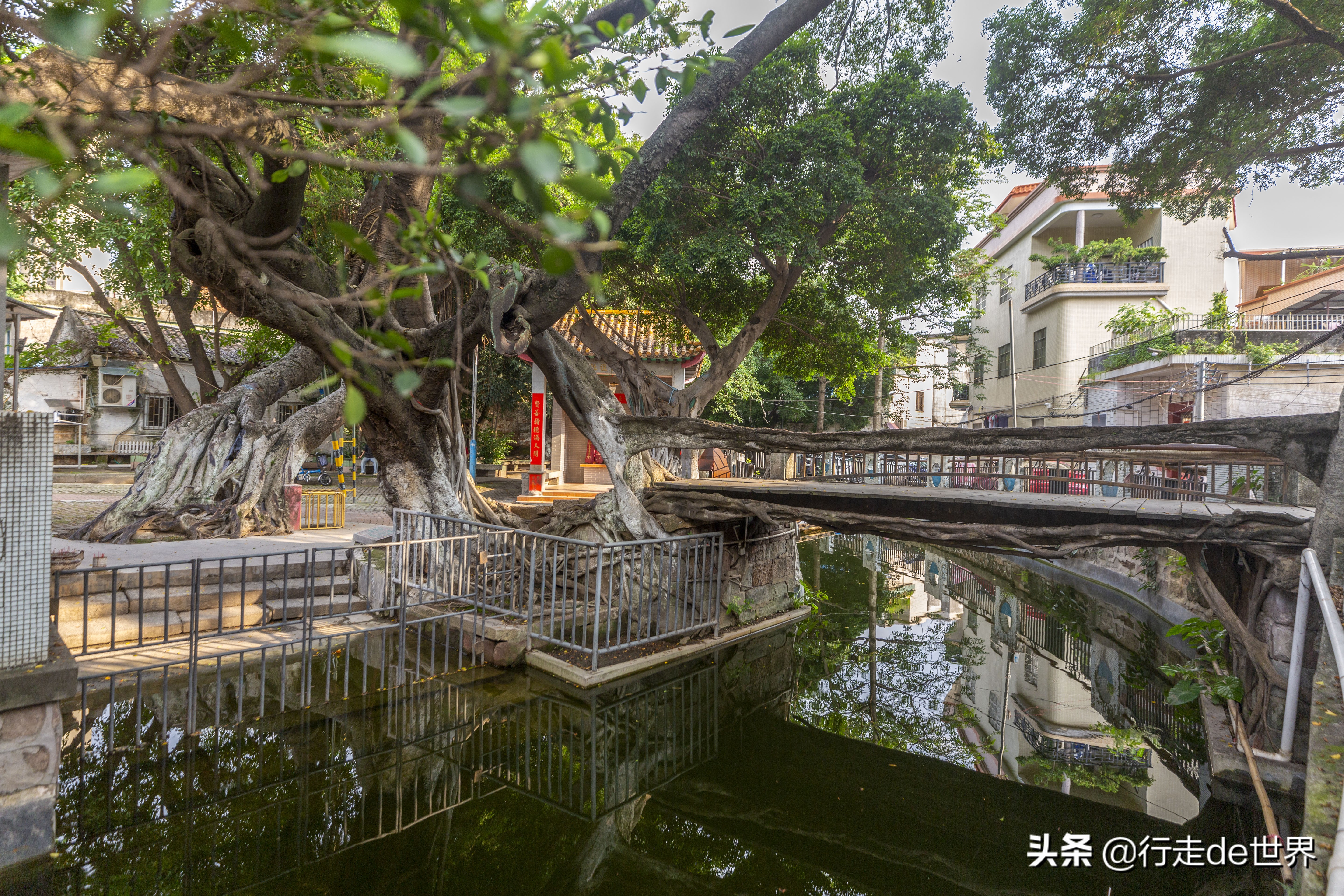 寻味顺德 | 猪头丙，一家性价比超高的农家餐厅