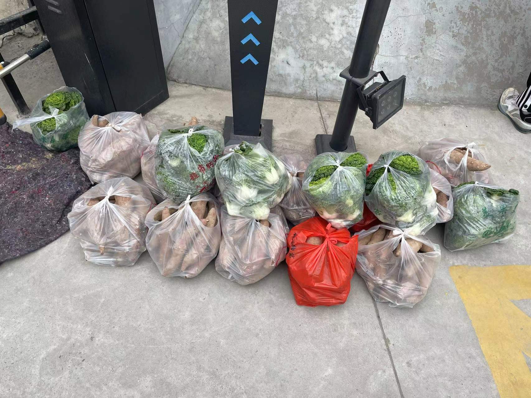 西安临潼检察院：“新兵老将”齐上阵，奔走防疫第一线