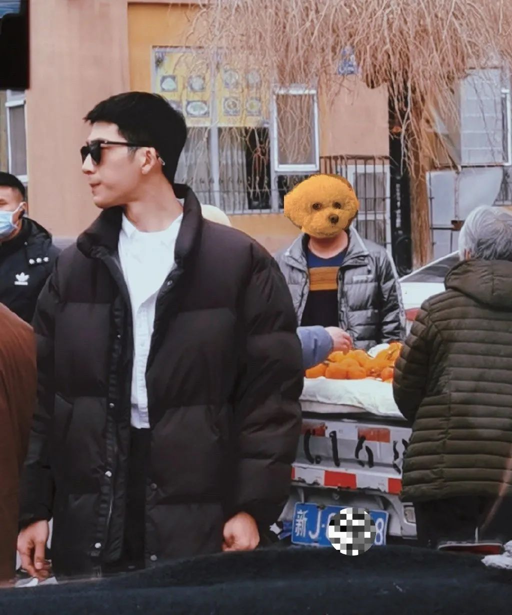 井柏然谭松韵《归路》，值不值得期待？