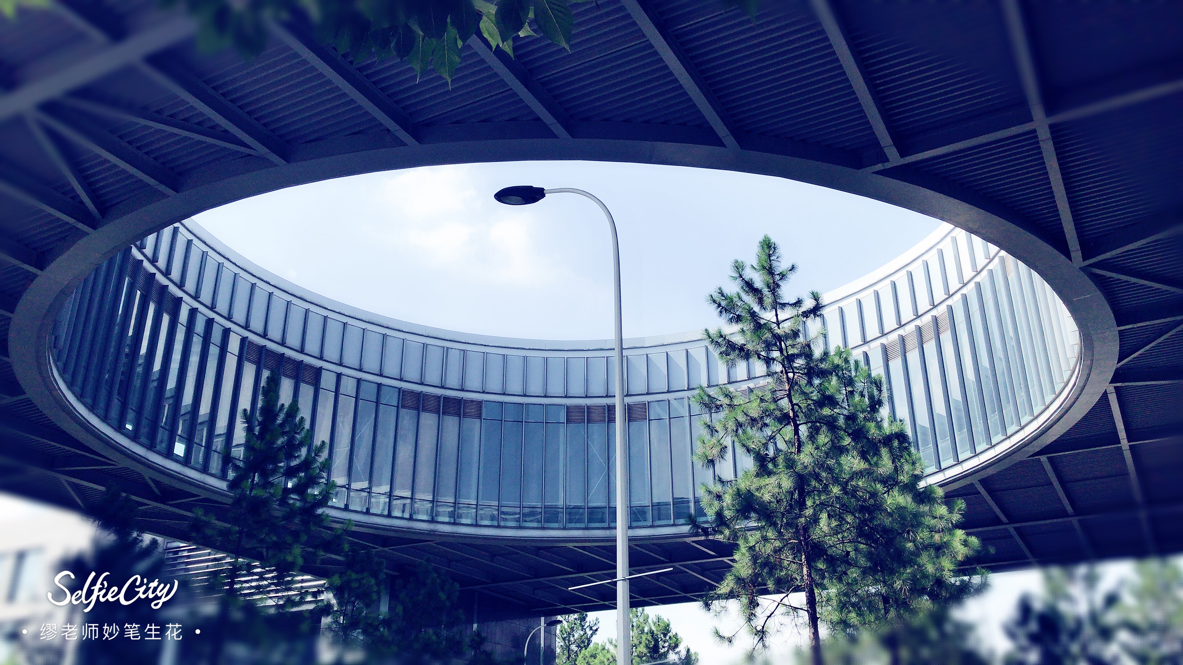 3000字详解：高考志愿中的点、线、面、体