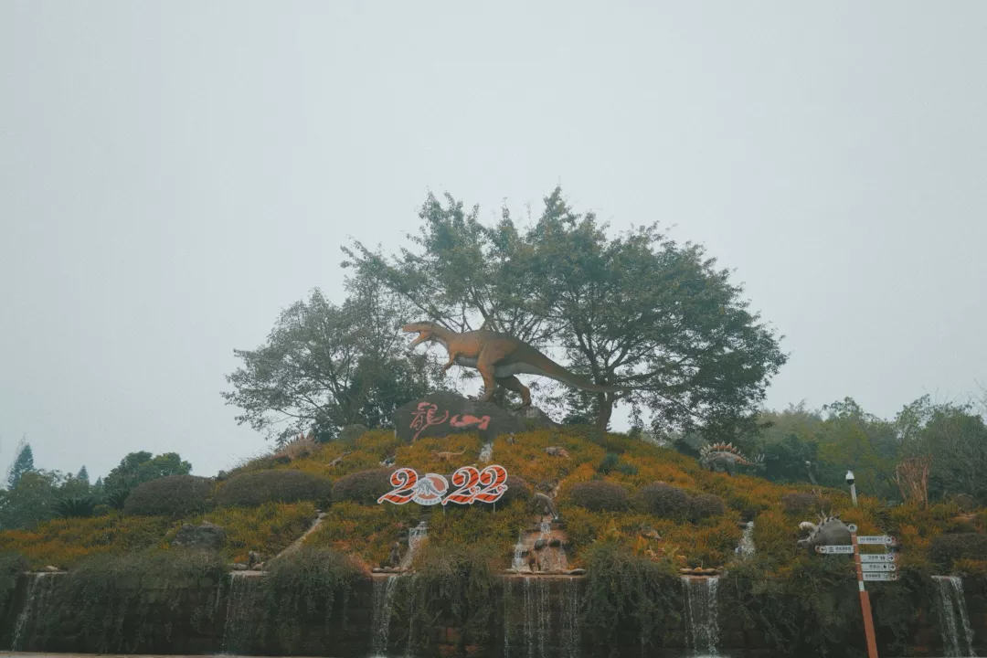 最近超火的盐帮菜之乡让我大开眼界，奇怪的知识又增加了