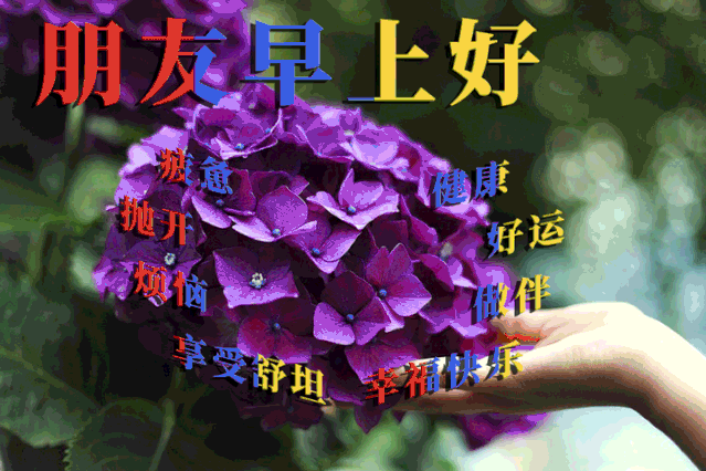 周三更新早上好表情包问候，精神好，心情好，事事顺心如意图片