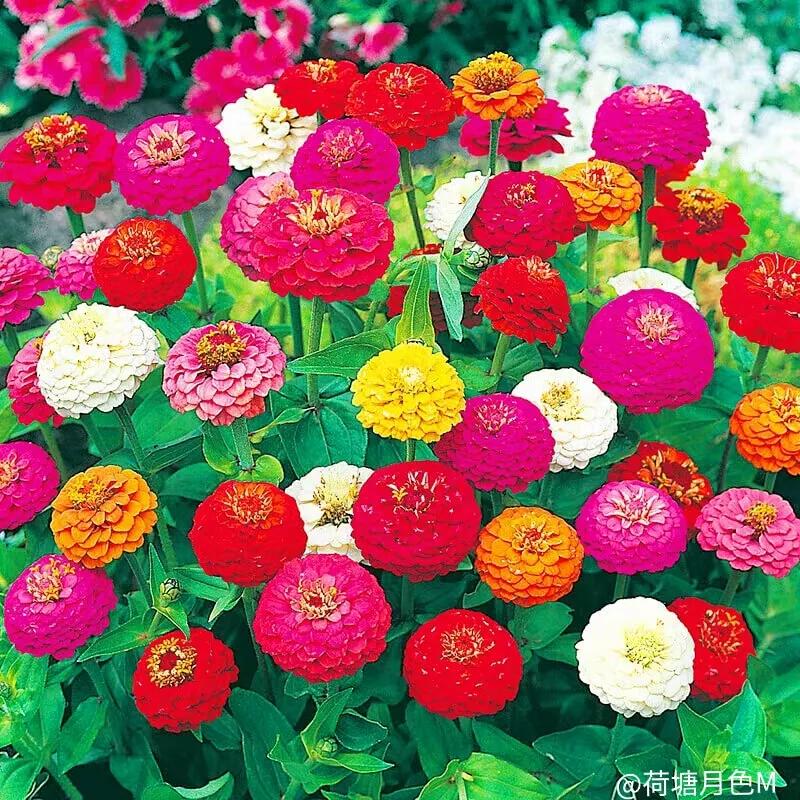 春天里，春风得意马蹄疾，一日看尽长安花
