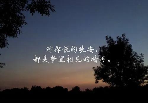 520一句简短朴实而深情的表白情话