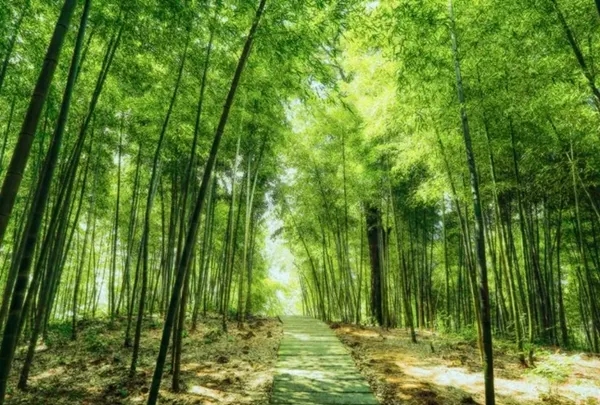 贵州十大冷门景点，人少景美好玩