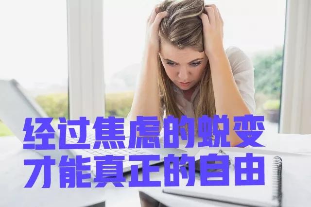 自媒体是自由职业，真的很自由吗？