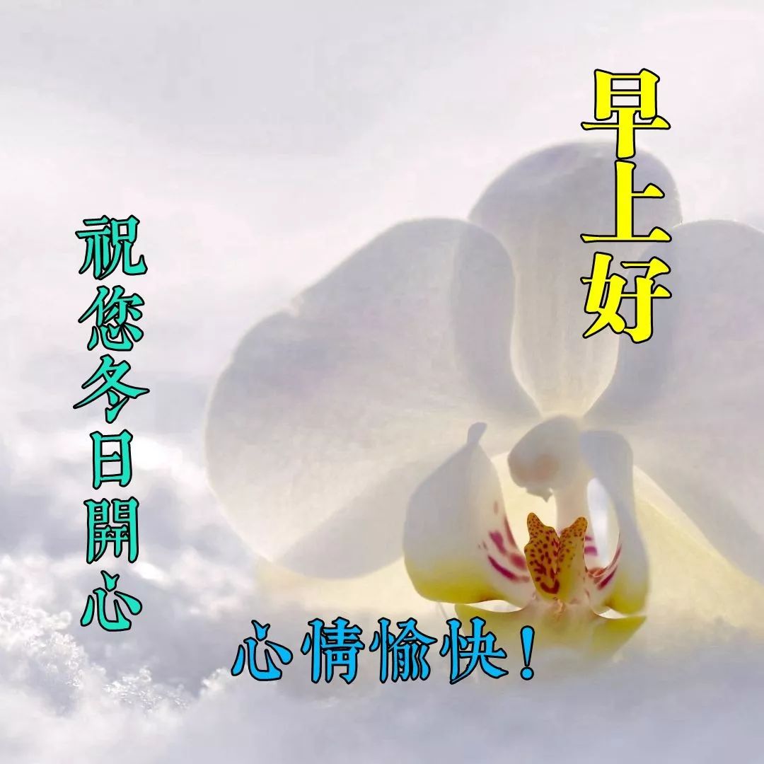 新版早上好图片带字 夏天早上做好表情包，注意防暑，补充水分图片