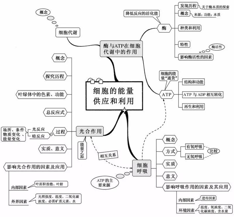 草履虫结构图(初中生物：重要知识点图解，内容清晰明了、简单易懂)