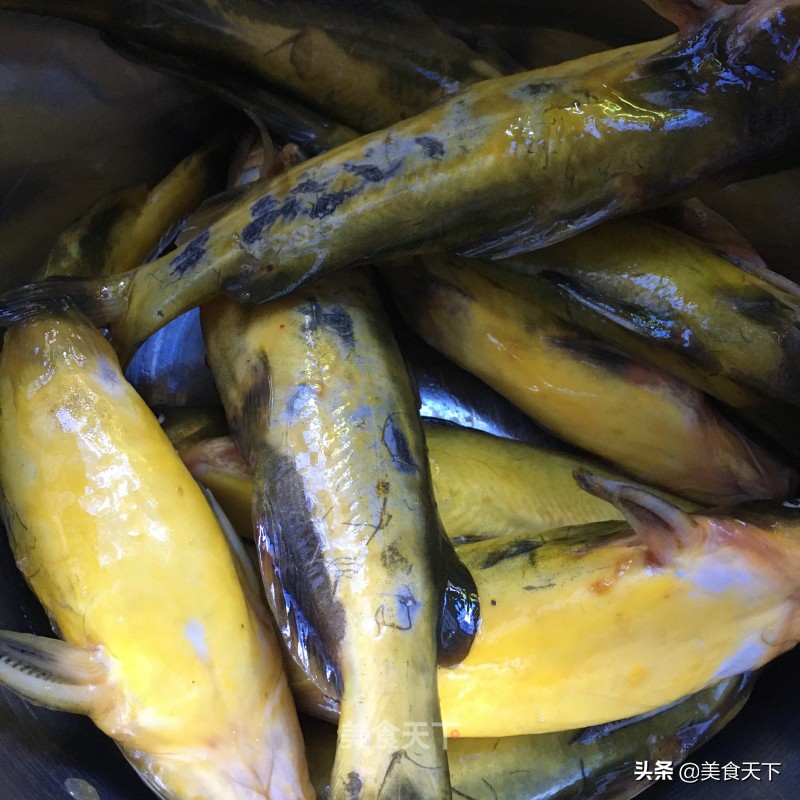 家常嘎鱼这样做，肉嫩味美，看着都馋人