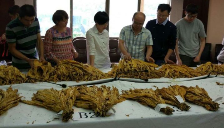 适合大专毕业选择的6类工作，专业生就业范围窄？不见得