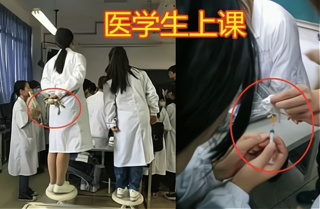 “医学类”就业前景排名，护理学无缘前三，榜首热度持续上升