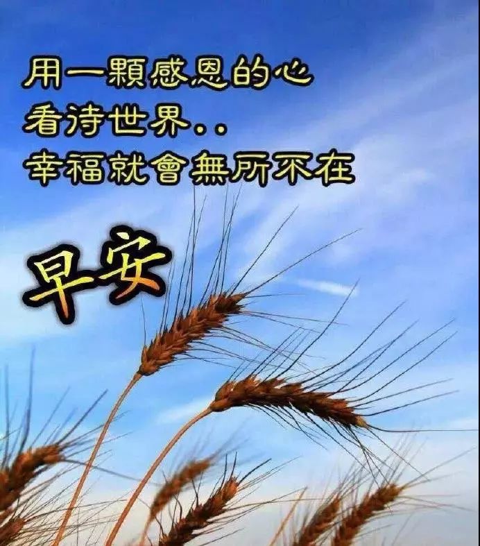 深秋今日更新早上好动态表情包 感恩的心看世界，幸福就无所不在图片