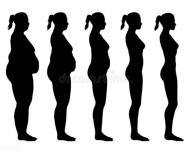 图片[4]-[健身]易胖体质跟易瘦体质的人，生活习惯有哪些区别？从3个方面分析-PPOBM时尚