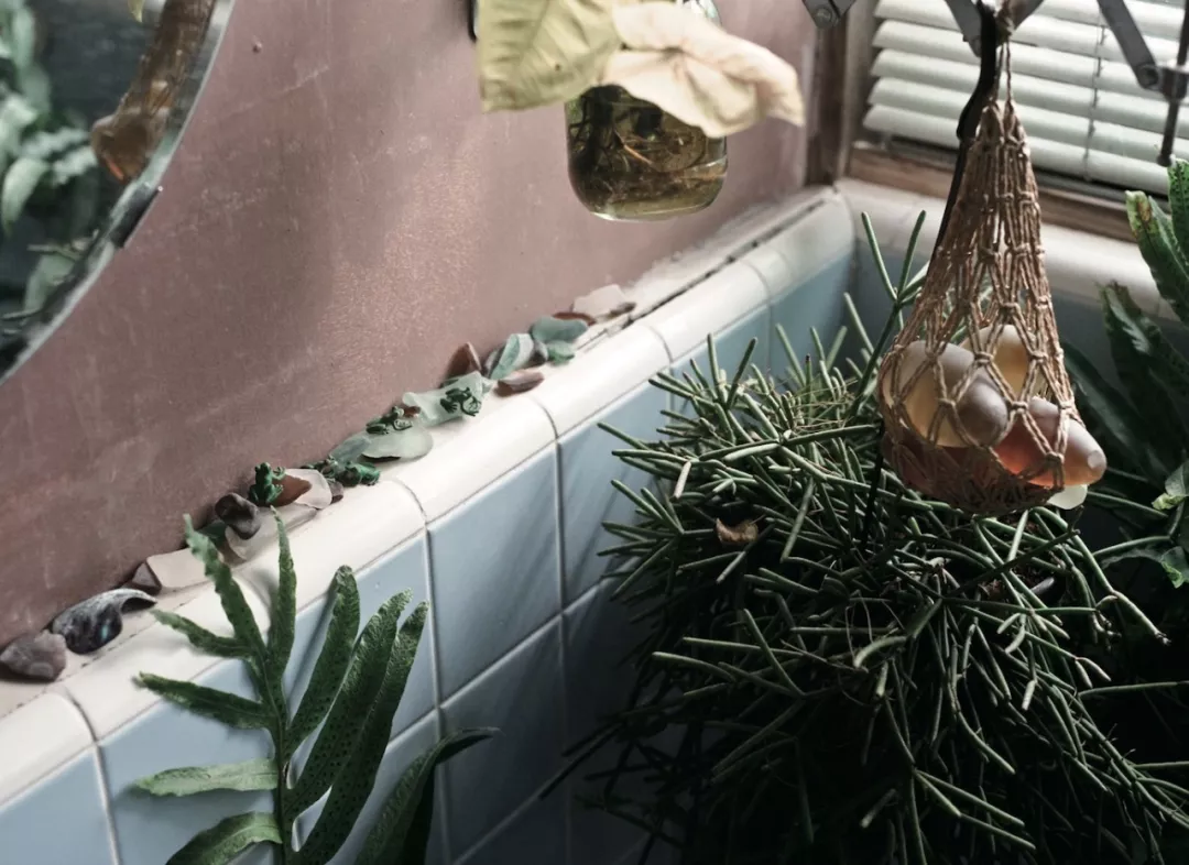 这个纹花臂,成天“沾花惹草”的大叔,做了一个让无数人羡慕的家