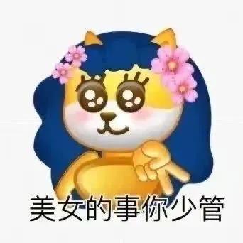 表情包女人会搞笑，爱情跑不掉