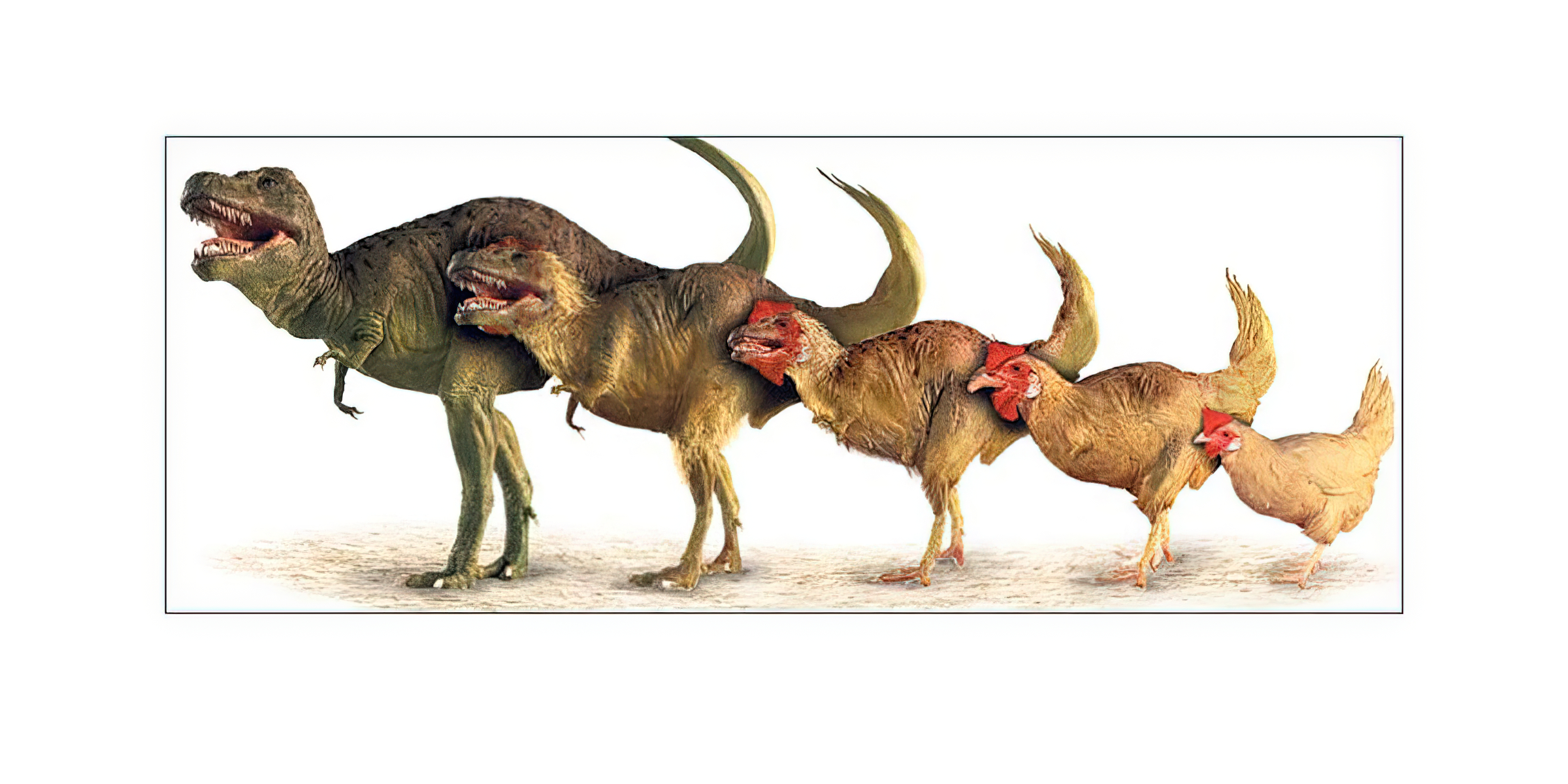 恐龙是怎么灭绝的原因依据结果(恐龙是如何灭绝的？小行星撞击只是导火索，真实的原因可能有几个)