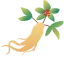 Excel数据透视表与条件格式