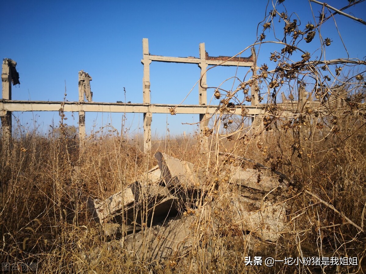 唐山大地震有多少人还记得