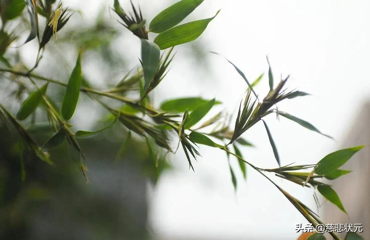 写给走过低谷期的人：人情冷暖已受尽，余生请对自己好一点