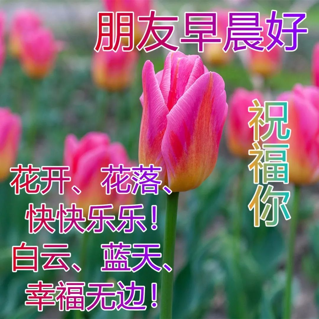 清晨暖心的早安问候祝福语短信 最好的快乐是平安 最好的平安是健康图片