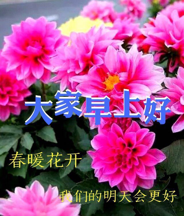 微信早上好句子 周六分享朋友圈早安心语短句 春暖花开明天会更好图片