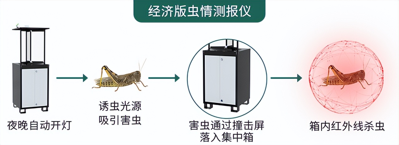 蟲(chóng)情測(cè)報(bào)儀“展新招”