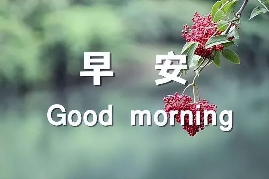新版早上好微信祝福语录大全 一句问候，幸福安康图片