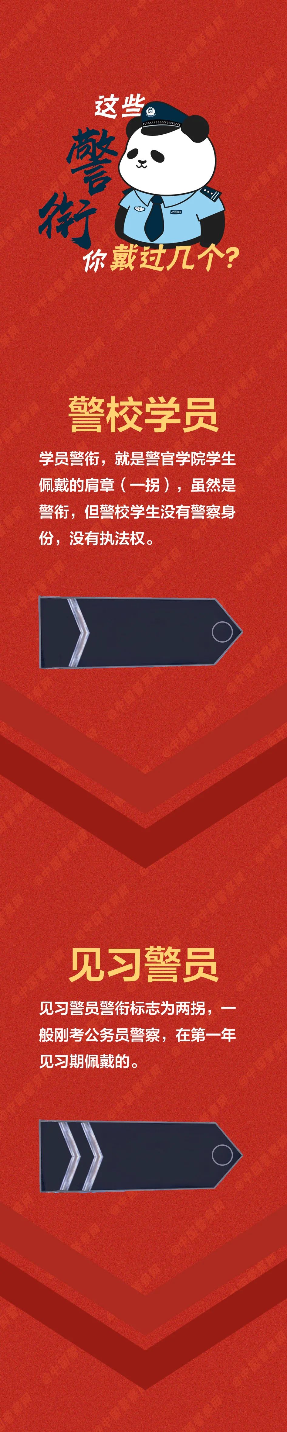 【警察节特刊】这些警衔，你戴到哪个了？
