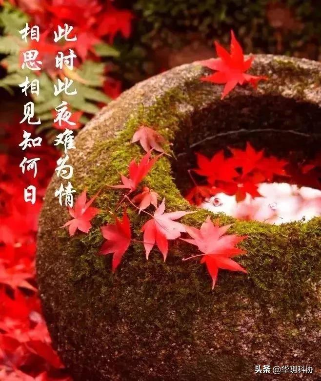 最后一个情人节（所有的情人节）