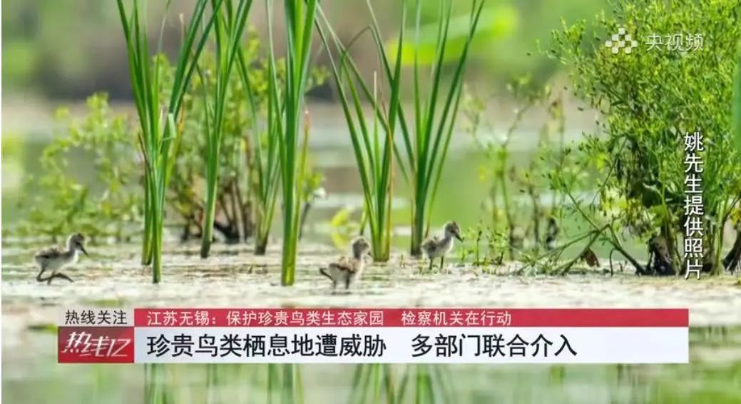 【凤宾论检】华忆娇：勇做公益诉讼“探路者”
