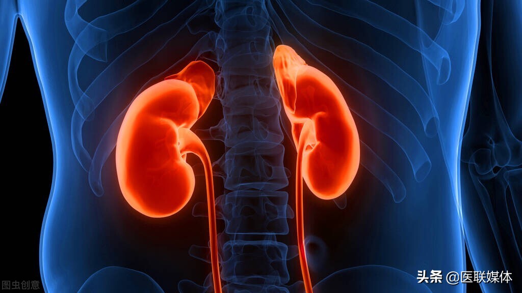 上完厕所不妨低头看一眼：尿液泡沫多，可能预示这3个问题