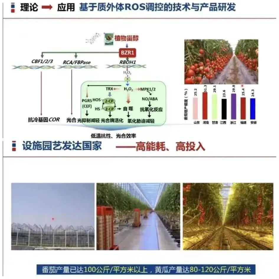 园艺科学前沿与产业发展名家论坛在我校成功举办