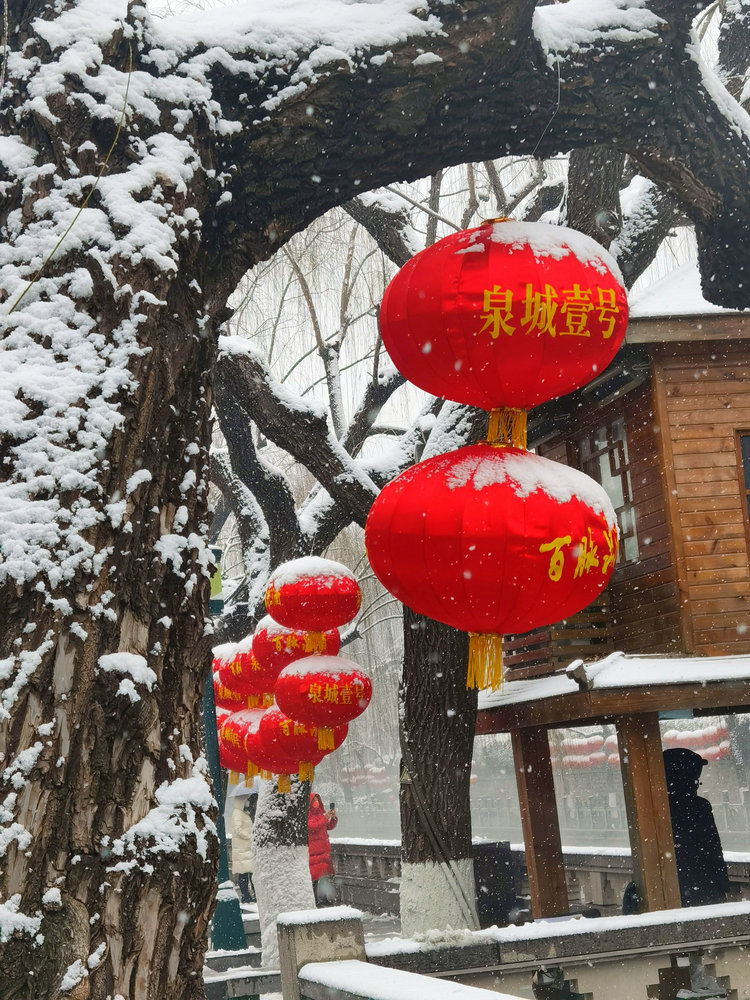 雪送祥瑞兆丰年：济南市民冒雪赏景
