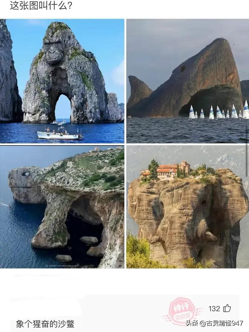 如果蔡徐坤和王一博组成新的组合叫什么组合好呢？网友：钵钵鸡