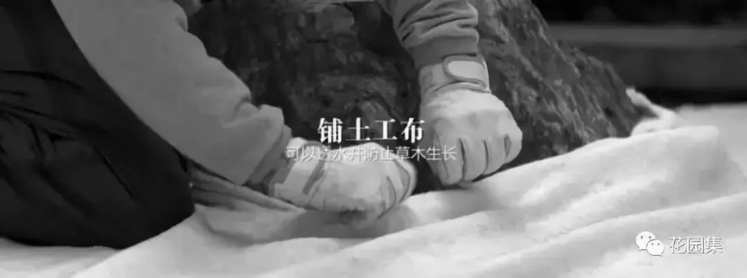 花园里的小空间，不妨打造成禅意景观，让它满足你的所有花园幻想