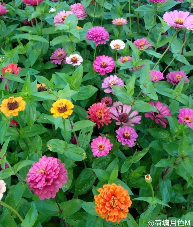 春天里，春风得意马蹄疾，一日看尽长安花