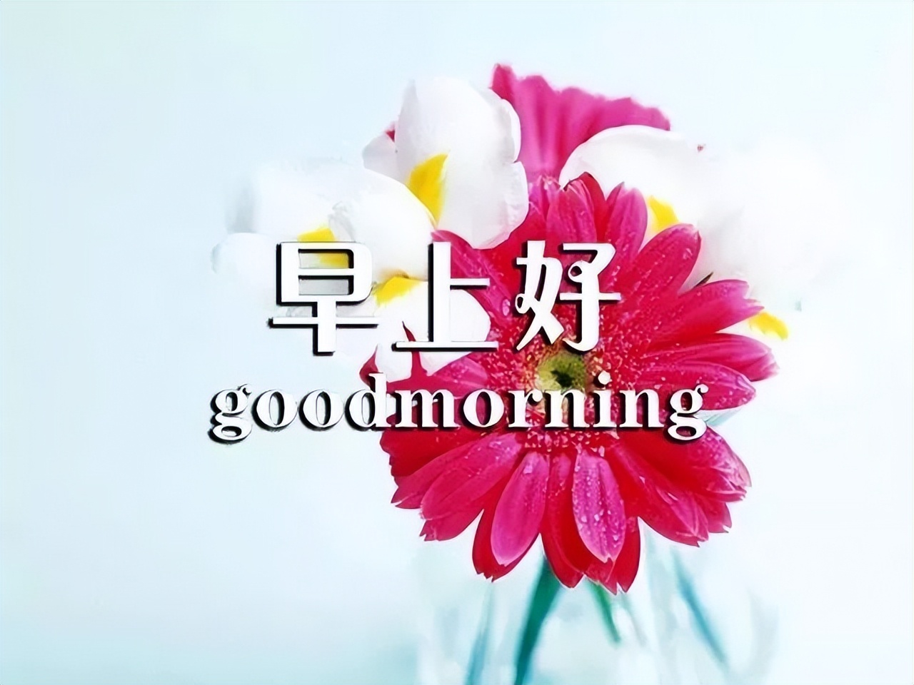 周四美丽的早上好表情包图片精美更新 愿你笑颜开，吉祥平安图片