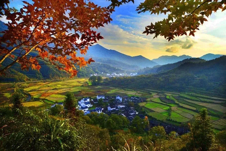 2022,一起领略黄山迤逦风光!