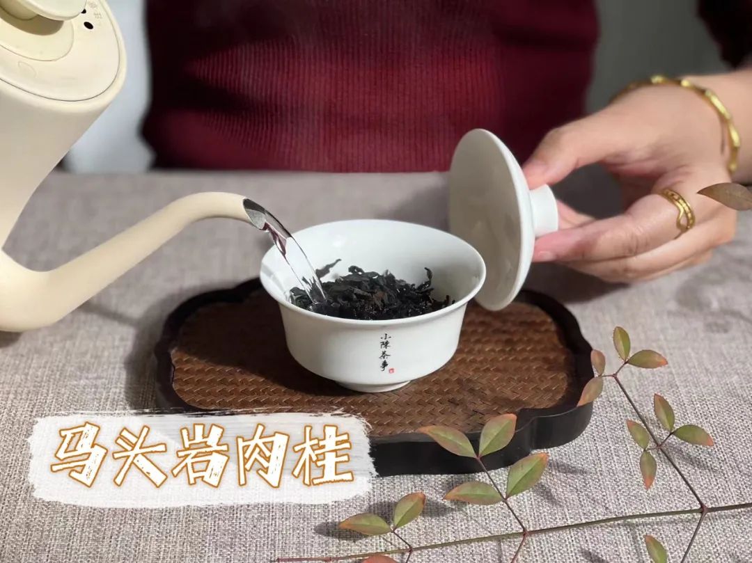 跟着李麻花学岩茶，轻松3步走，快速区分肉桂的火功高低，超简单