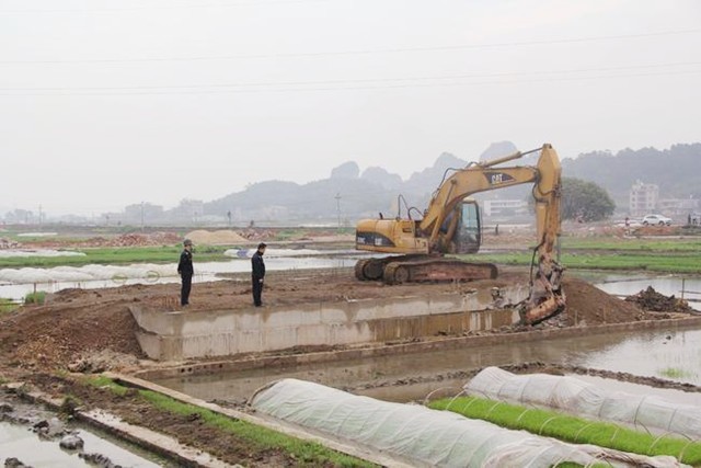 哭泣的乡村：一个中国农大研究生的回乡日记