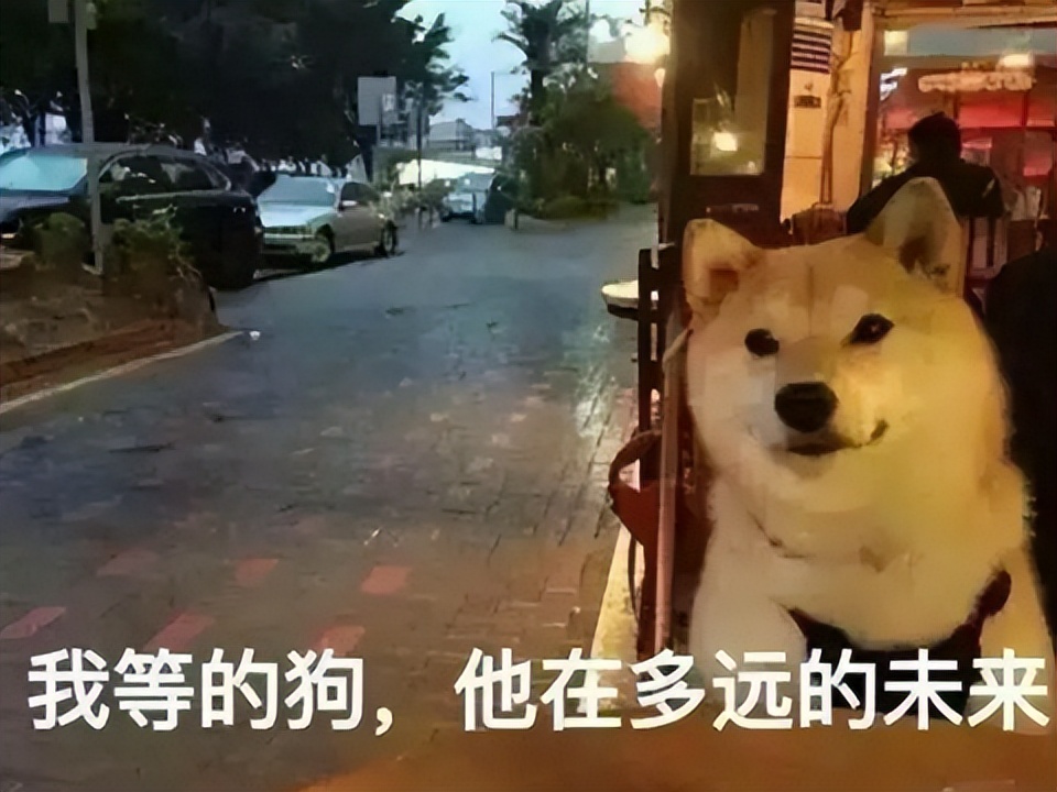 玩家有多会玩？玩游戏被绿反手融女友号，戴绿帽戴出思维导图