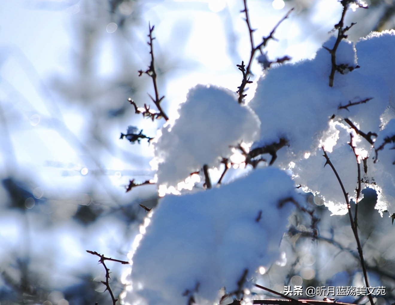 落雪是浪漫,想你是溫暖